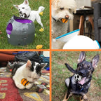 X-Small Dog Tennis Balls Dog Toys Ball 1.5" Pack of 12, Fit Ball Launchers