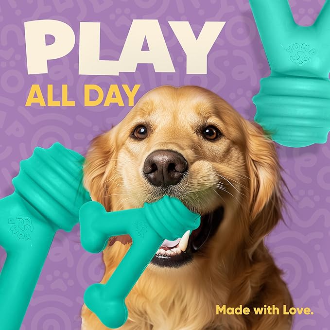 Yomp FunnyBone MAX: All-Natural Rubber Dog Toy, Nontoxic, Safe for Pet Play (Teal)