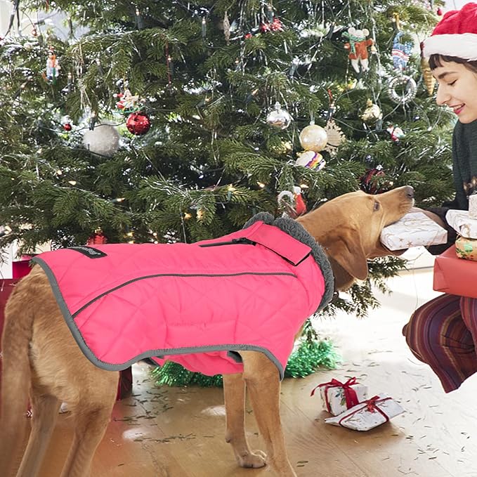 Fragralley Dog Coat Medium, Waterproof Dog Jacket with Warm Fleece Lining, Adjustable Reflective Dogs Winter Coat, Turtleneck Pet Coats for Cold Weather (Pink M)