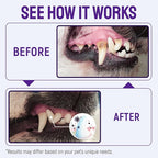 SILVER GRADE Teeth & Gum Dog Breath Spray for Pets Mouth – Cat Dental Care with Silver – Dog Breath Freshener Helps with Tartar & Caries – Plaque Remover for Daily Use – 4 Oz
