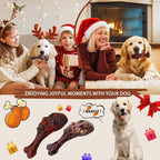 Magicorange Dog Chew Toys for Aggressive Chewers, Indestructible Dog Toy for Medium/Large Breed, Tough Nylon Teething Bone Toy to Keep Them Busy,Bacon and Real Beef Flavor (Beef+Bacon Flavor, 2 Pack)