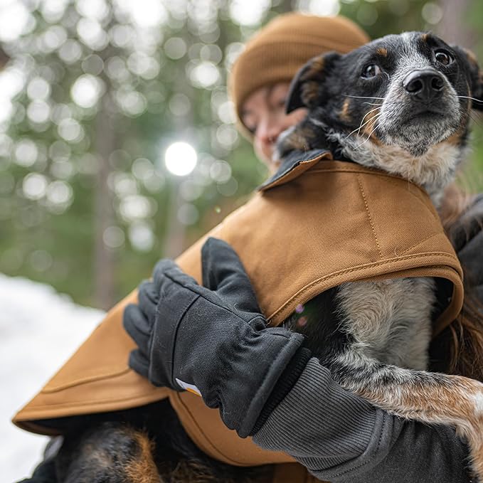 Carhartt Firm Duck Insulated Dog Chore Coat, Durable Weather Resistant Jacket for Cold and Windy Conditions, PFAS Free (Black), Small