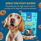Chicken & Blueberry Chips – 2 Simple Ingredient Dog Treats, All Natural & Healthy Training Snacks for Small, Medium & Large Breeds, Puppies – High Protein, Made in USA 3oz