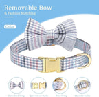 Beirui Cute Extra Small Dog Harness Collar and Leash Set with Bowtie, Soft Adjustable Plaid Puppy Harness for Small Sized Dogs Cats Walks Parties and Photoshoots(Blue,XXS:Chest 12-14")