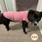 KYEESE 2Pack Dog Shirts Striped Soft Stretchy Dog T-Shirts Lightweight Tank Top Sleeveless Vest Breathable Pet Outfit, XX-Large, Green+Pink