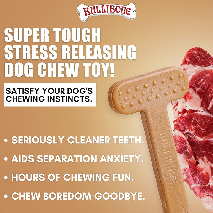 Bullibone Nylon Dog Chew Toy Nylon Bone - Improves Dental Hygiene, Easy to Grip Bottom, and Permeated with Flavor (Beef, Small - Single)