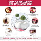 Dental Spray for Pets – Cat & Dog Breath Freshener That Helps with Tartar, Plaque, & Bad Odor – Silver 50 PPM + Valerian Flavour for Dog Teeth Cleaning – 4 Oz
