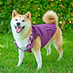 Tuff Pupper Reversible Fleece Sweater Vest for Dogs | Lightweight Comfortable Insulated Jacket | Front Zip Closure | Machine Washable | Built-in Leash Hole | Sizes for All Breeds (XXL, Purple)
