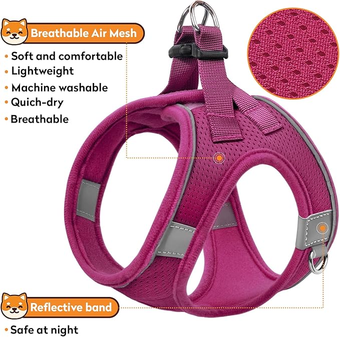 Dog Harness with Leash Set, No-Pull Step-in Reflective Pet Harness with 1 Leash Clips, Adjustable Soft Padded Easy Walk Dog Vest for Small Medium Large Dogs, Cats(Rose Red, Small)