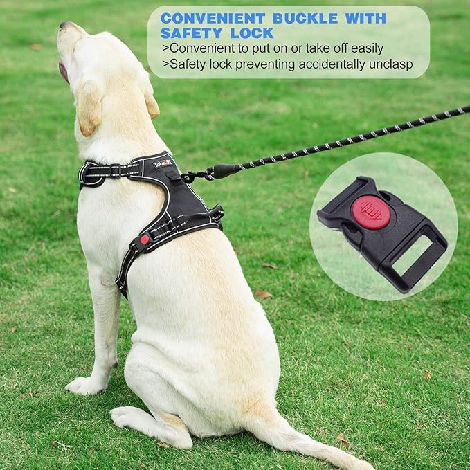 No Pull Dog Harness Adjustable Reflective Oxford Easy Control Medium Large Dog Harness with A Free Heavy Duty 5ft Dog Leash (M (Neck: 14.5"-20.5", Chest: 22"-28"), Red Harness+Leash)