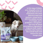 I and love and you Naked Essentials Ancient Grains Dry Dog Food - Chicken + Turkey - High Protein, Real Meat, No Fillers, 23lb Bag