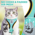 PUPTECK Cat Harness and Leash Set Escape Proof Reflective Cat Walking Harness Adjustable Soft Breathable Mesh Vest for Small Pets, Aquamarine, S