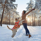 VIVAGLORY Frostfit Dog Coat, Dog Jacket for Winter & Cold Weather, Warm Fluffy Fleece Lined Water Resistant Reflective for Puppy, Coat with Velcro Fastening & Leash Hole, XL, Northeast Florals-Red