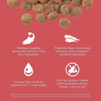 Go! Solutions Sensitivities Limited Ingredients, Grain-Free Dry Dog Food, Salmon Recipe for Sensitive Stomach, 12 lb Bag