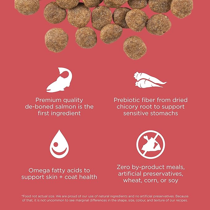 Go! Solutions Sensitivities Limited Ingredients, Grain-Free Dry Dog Food, Salmon Recipe for Sensitive Stomach, 22 lb Bag