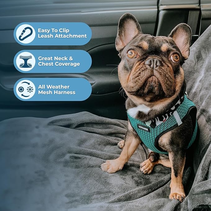 Best Pet Supplies Voyager Step-in Air Harness - All Weather Mesh, Reflective, No Pull Harness for Dogs, Cats - Secure with Hook & Loop Fastener, Buckle, Double D-Rings - Tone, S