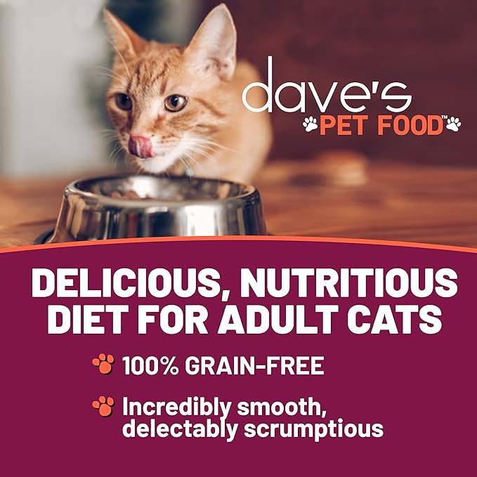 Dave's Pet Food Grain Free Wet Cat Food (Shredded Salmon in Gravy), Made in Canada Naturally Healthy Canned Cat Food, Added Vitamins & Minerals, Wheat, GMO & Gluten-Free, 5.5 oz (24 Pack)