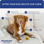 Downtown Pet Supply Yak Cheese Himalayan Dog Chews - Large Yak Chews Rich in Nutrients for Medium to Large Dogs - Long Lasting, Odorless and Easy to Digest Cheese Dog Treats - 1 LB