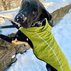 Mile High Life Dog Raincoat, Adjustable Waterproof Reflective Rain Jacket for Small Medium Large Dogs, Lightweight Breathable Pet Rain Coat with Leash Hole(Lime Yellow,XXS Chest 16-19")