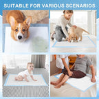 Puppy Pee Pads for Dogs Extra Large 31"x47" 100 Count, Leak-Proof & Super Absorbent, Thicken Disposable Potty Training Pads for Doggie Cats Rabbits, Quick Dry Pet Piddle Pad