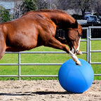 Herding Ball for Dogs - 25" Medium Herding Ball with Anti-Burst Cover and Pump, Outdoor Dog Exercise Toy for Australian Shepherd, German Shepherd, Collie (Blue)