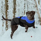 IECOii Extra Warm Dog Coat - Reflective Adjustable Jacket with Buckle Fleece Turtleneck for Cold Weather - Soft Winter Coat for Small, Medium & Extra Large Dogs