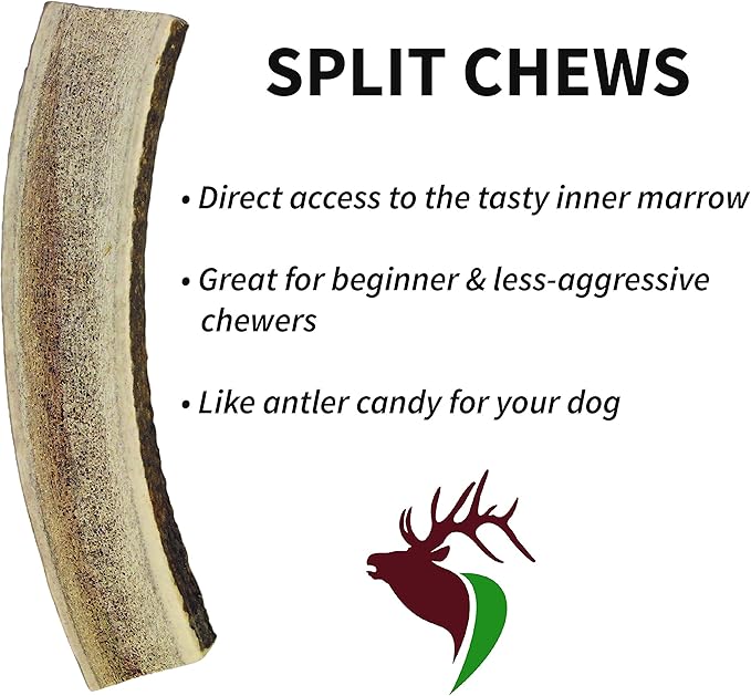 Giant Split Single Pack (for 75+ lb Dogs) Premium Grade Elk Antler for Dogs (1 Piece) Sourced in The USA