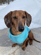 Gooby Zip Up Fleece Dog Sweater - Turquoise, Small - Warm Pullover Fleece Step-in Dog Jacket with Dual D Ring Leash for Small to Medium Dogs
