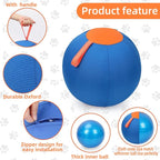 Dog Herding Ball for Dogs & Puppies, Toy Balls for Cattle, Australian Shepherd, Non-Chewing Activities, Large Dog Toy | Oxford Fabric Cover, Pump, with Patch Repair Kit (26 inch)