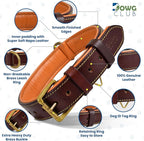 Leather Dog Collar | Leather Collar for Small Dogs, .75 Inch Wide Dog Collar Brown | Genuine, Full Grain, Heavy Duty, Comfortable, Inner Padding (Small (Fit Neck Size 11.5"-14.5"), Brown)