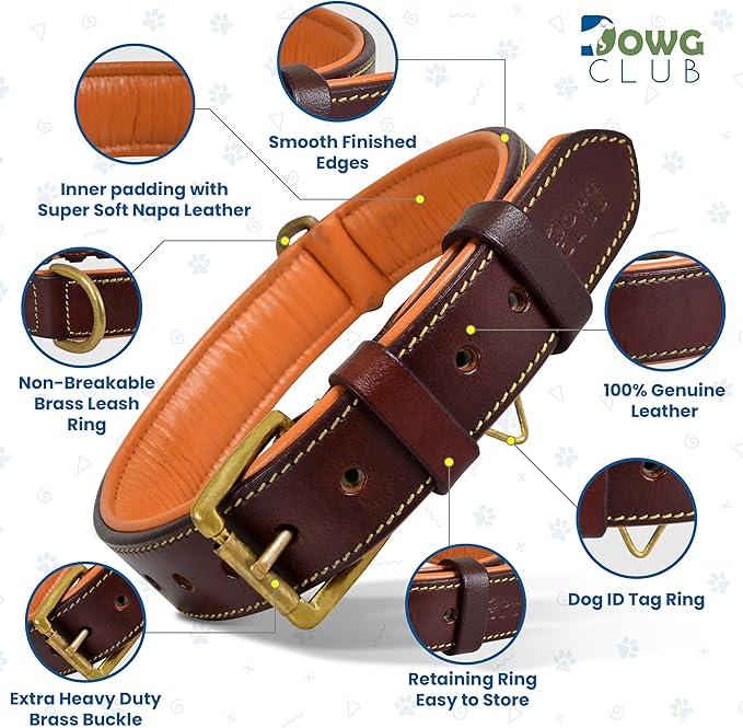 Leather Dog Collar | Leather Collar for Extra Large Dogs, 1.5 Inch Wide Brown Dog Collar | Genuine, Full Grain, Heavy Duty, Comfortable, Padding | (X-Large (Fit Neck Size 22"-26"), Brown)