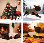 Reversible Waterproof Dog Coat - Adjustable Winter Jacket for Small to Large Breeds, Warm Cold Weather Apparel for Medium Dogs (Army Green & Orange, X-Large (Pack of 1))