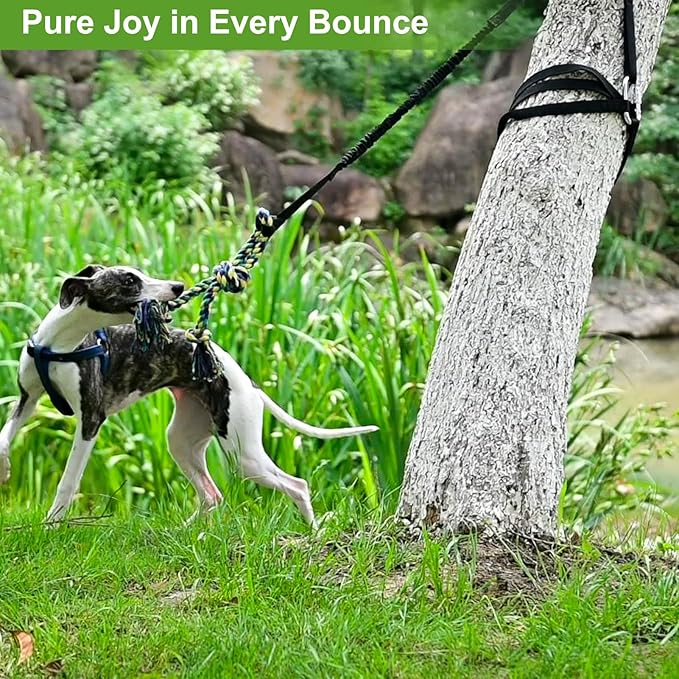BINGPET Outdoor Dog Hanging Bungee Tug Toy,Heavy Duty Tether Tug of War Dog Toy with 2 Chew Rope Toys for Pitbull Small Medium Large Dogs Interactive Exercise and Fun Solo Play Outside
