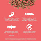 Go! Solutions Carnivore, Grain-Free, Protein Rich Dry Cat Food, Salmon and Cod Recipe, 16 lb Bag