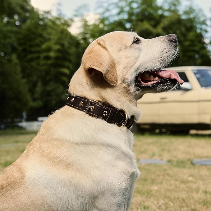 Dog Collar, Leather Dog Collar with Adjustable Sturdy Metal Buckle,Heavy Duty Dog Collar for Walking, Hiking, Training, Hunting (Brown,XS:13.4"-15.8" Neck)