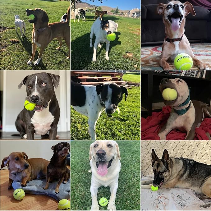 PUPTECK Squeaky Tennis Balls for Dogs, 2.5" Training Bouncy Ball Toys 12 Packs for Dogs Playing, Exercise and Fetch