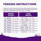 Wellness Complete Health Sensitive Skin & Stomach Dry Dog Food, Wholesome Grains, Natural, Salmon & Rice Recipe, (24-Pound Bag)