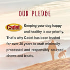 Cadet Bully Hide Sticks for Large Dogs, All-Natural Beef Pizzle, Limited-Ingredient Long-Lasting Dog Chews for Aggressive Chewers, 7 Count