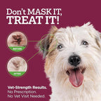 Vetality Medicated Otic Drops for Dog Ear Infection Treatment, 2 fl oz