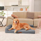 Orthopedic Dog Beds Large Sized Dog, Memory Foam Pet Bed for Large Dogs, Washable Removable Cover, Nonskid Bottom, Waterproof, 44x32x6 Inches, Dark Grey