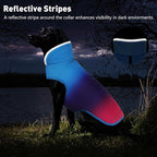 Dog Winter Coat, Waterproof Dog Jacket with Leash Hole, Reflective Adjustable Pet Snow Vest, Warm Fleece Sweater for Small Medium Large Dogs - Gradient Blue, M