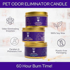 HOLI Pet Odor Eliminator Candle – Ocean Mist Scent – All Natural Soy Wax, Paraben & Phthalate Free, Pet Safe, Long-Lasting 60-Hour Burn, Non-Toxic & Plastic-Free Air Freshener for Home