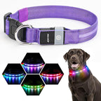 LED Dog Collar, Light Up Dog Collar, USB Rechargeable - Brightest Dog Lights for Night Walking, 6 Light Modes, Adjustable for Dog Safety(Small, Purple)