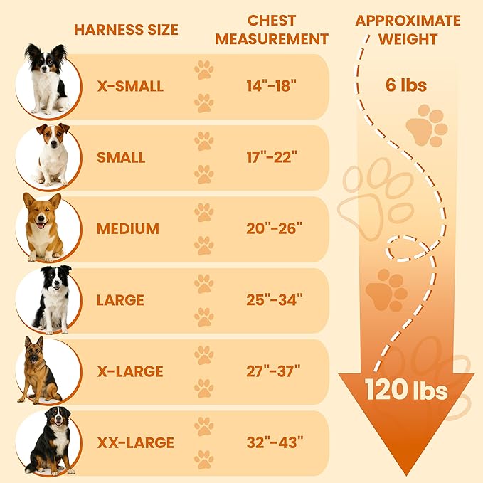 Bark Appeal Aqua Blue No-Pull Dog Harness for Extra Small Sized Pets – Adjustable, Reflective Vest with 3 Leash Clips for Added Control, Easy Walks & Training – XS