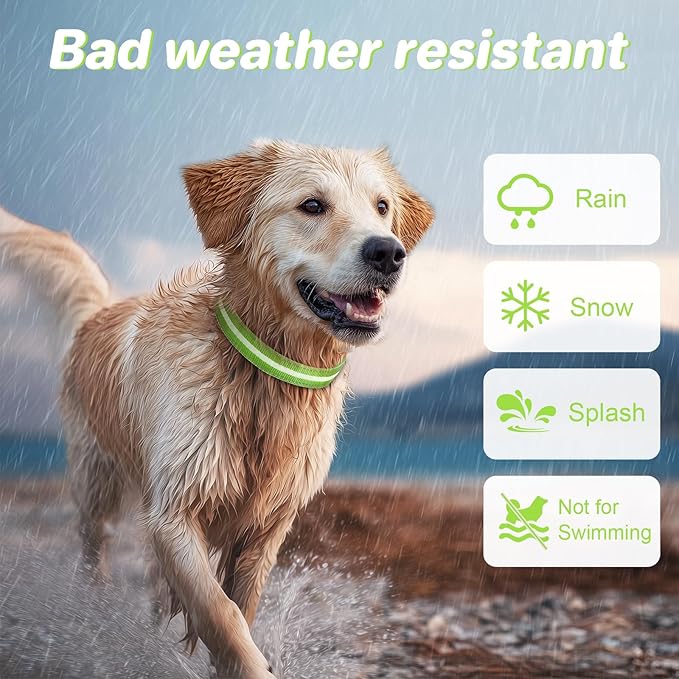 PcEoTllar Light Up Dog Collars, Led Dog Collar, Rechargeable, Night Walking, Waterproof, Glow in The Dark Dog Collars Light for Large Small Medium Dogs, Green m