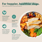 Jinx Premium Grain-Free Dry Dog Food, for All Lifestages - Real Chicken, Sweet Potato & Carrot Kibble with Superfoods for Immune Support & Probiotics for Digestive Support - No Fillers -30lb