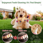 Dog Toy, Squeaky Interactive Dog Toys to Keep Them Busy for Large Small Dogs, Plush Puppy Toys, Best Gifts for Dogs.