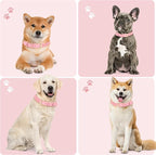 Leather Dog Collar for Small Medium Large Dogs, Soft Padded Dog Leather Collar with Heavy Duty Gold Buckle, Durable & Comfortable for Puppy Dogs Daily Walking (Pink, XS)