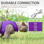 PUPTECK Soft Mesh Cat Vest Harness and Leash Set Puppy Padded Pet Harnesses Escape Proof for Cats Small Dogs, Purple Small