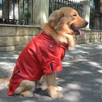 Lovelonglong Cool Dog Leather Jacket, Warm Coats Dogs Windproof Cold Weather Coats for Large Medium Small Dogs, Pomeranian Clothing Red M